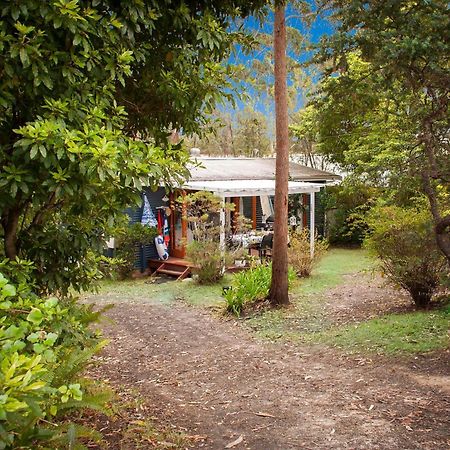 Blue Starfish Villa Narrawallee Exterior photo